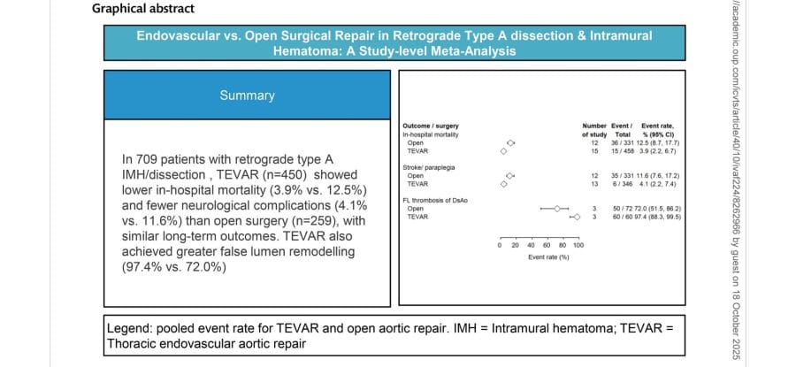 summary A型主動脈剝離