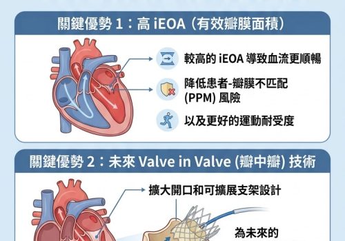 豬瓣膜 牛瓣膜 自費 健保